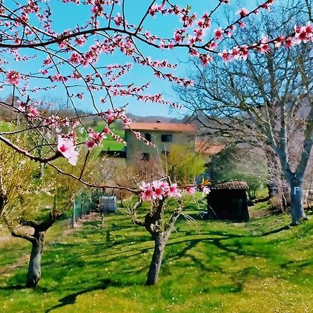 B&B Luna E Stelle Premilcuore Exterior photo