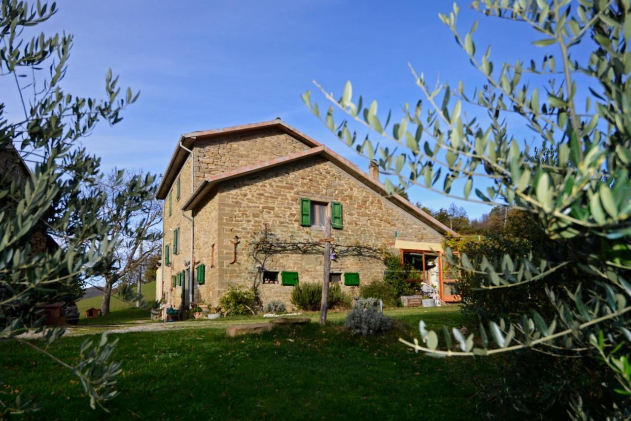 B&B Luna E Stelle Premilcuore Exterior photo