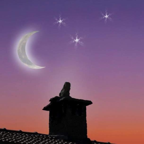 B&B Luna E Stelle Premilcuore Exterior photo