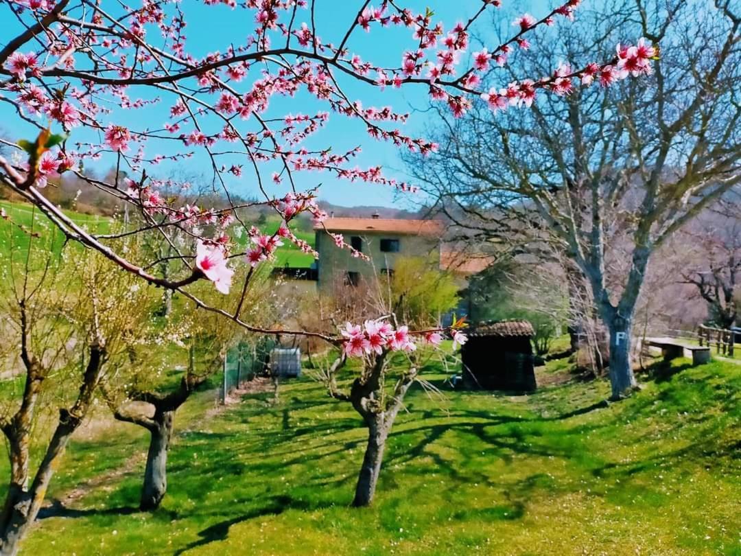 B&B Luna E Stelle Premilcuore Exterior photo