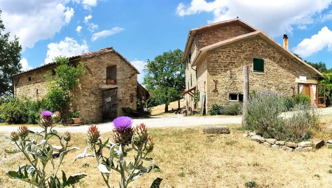 B&B Luna E Stelle Premilcuore Exterior photo