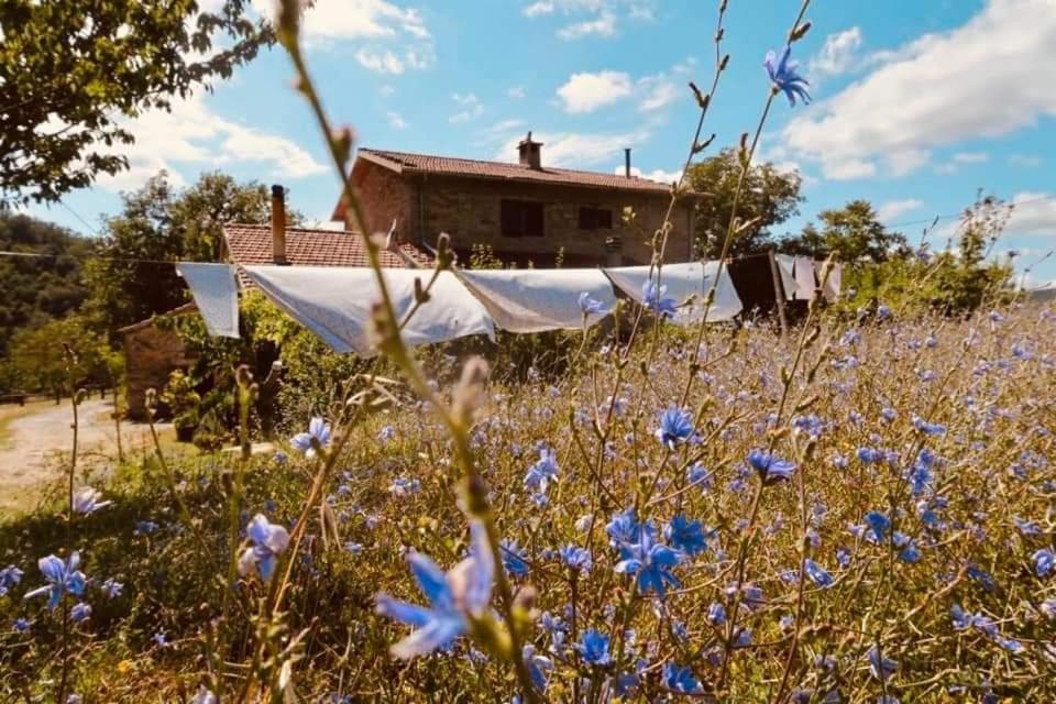 B&B Luna E Stelle Premilcuore Exterior photo