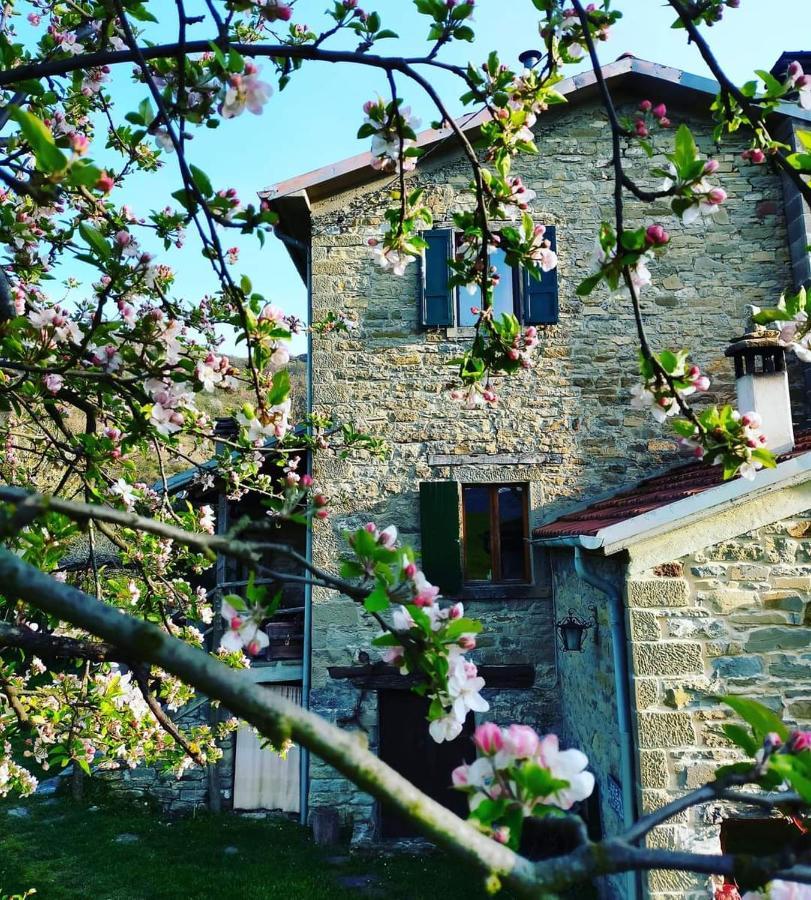 B&B Luna E Stelle Premilcuore Exterior photo
